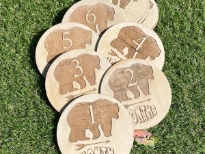 Wooden Milestone Discs | Baby | Set of 12