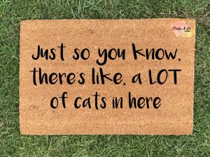 Doormat - just so you know, there's like a lot of cats in here