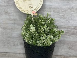 Thank You For Helping Me Grow Wooden Planter Plaque | Planter Stick | Planter Spike | Planter Sign | Custom | Personalised