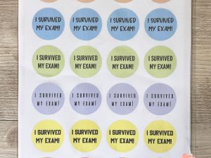 24 I Survived My Exam! Stickers | Planner Stickers | Adult Reward Stickers | Matte | A4 | Per Sheet